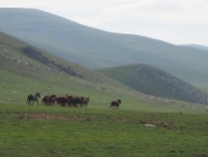 Randonnée en Mongolie